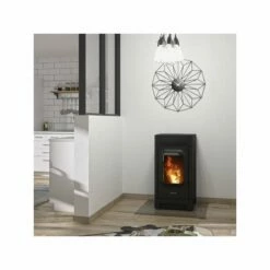 Pelletofen Justus Canis - 6 KW -Küchengrill Geschäft pelletofen justus canis 6 kw6